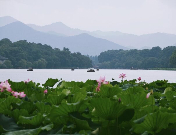 shanghai best free tours beijing best free tours