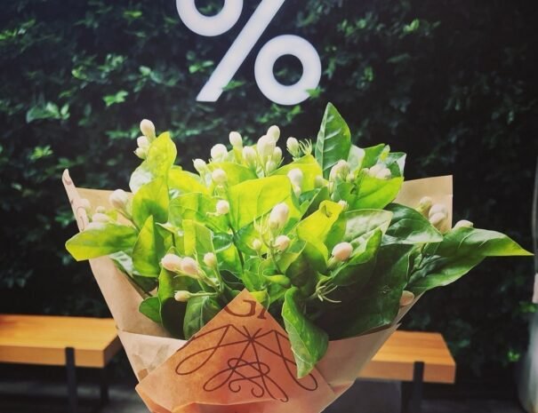 Shanghai french concession free walking tours shanghai must see free tour2