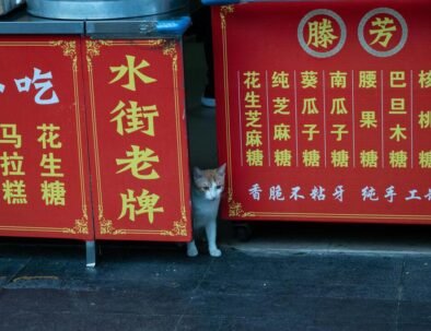 Shanghai private van tour, Shanghai customized tour, layover tour Shanghai